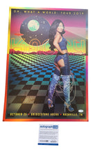 Load image into Gallery viewer, Kacey Musgraves Autographed Holofoil 17x24 Sexy Poster
