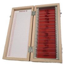 Load image into Gallery viewer, Dexter Cast Autographed Custom Blood Glass Slides Case ACOA
