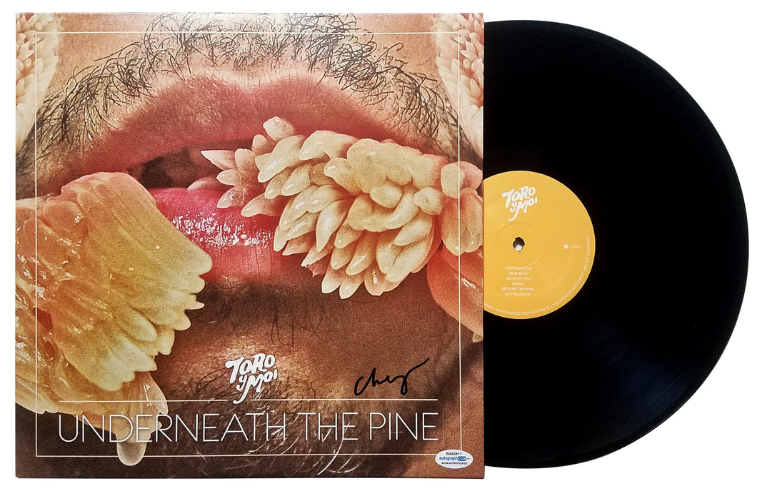 Toro y Moi Autographed Underneath The Pine Album LP Chaz Bear
