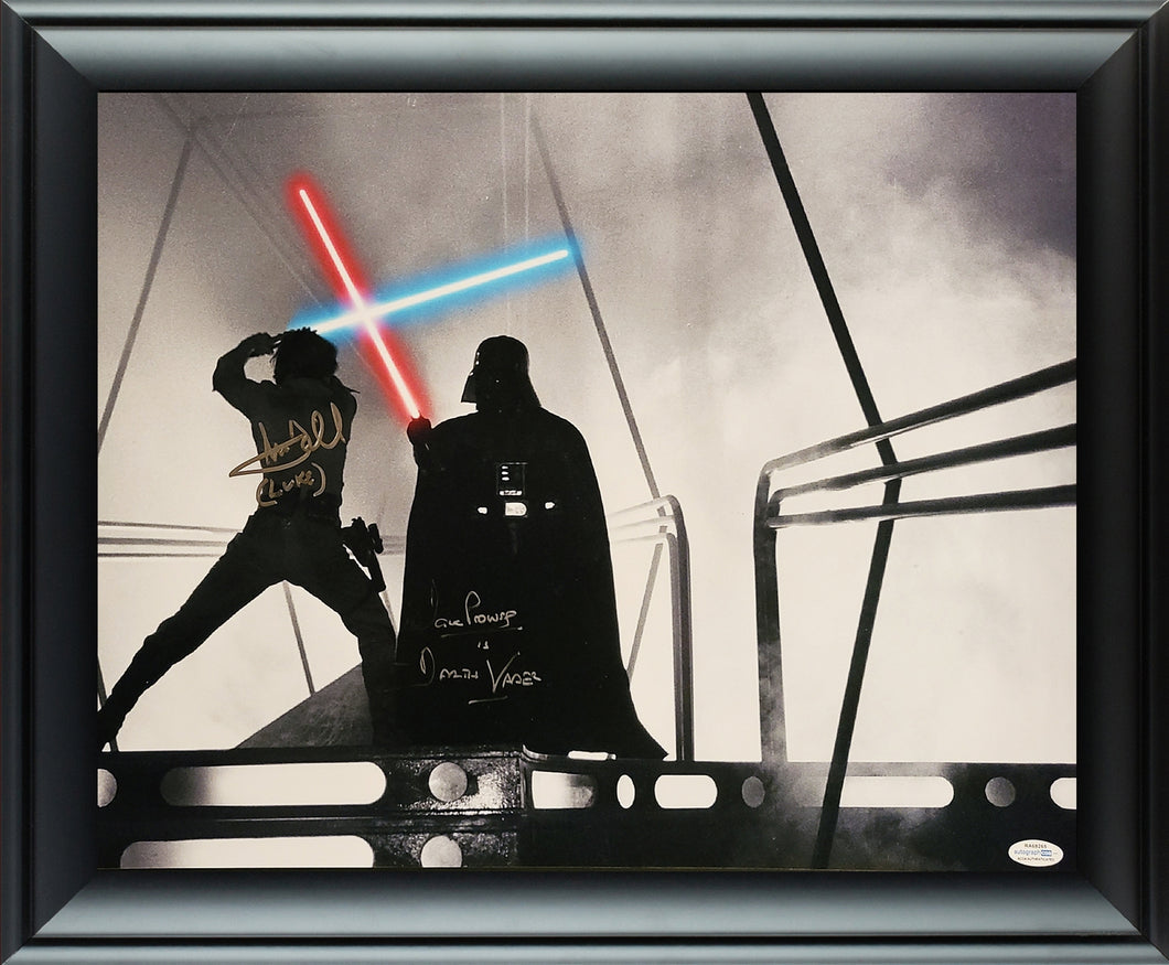 Mark Hamill & Dave Prowse Autographed Framed 16x20 Star Wars Photo Exact Proof