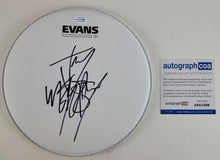 Load image into Gallery viewer, Slipknot Jay Weinberg Autographed Evans Drumhead
