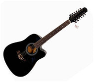 Billy Ray Cyrus Autographed 12-String Acoustic Guitar